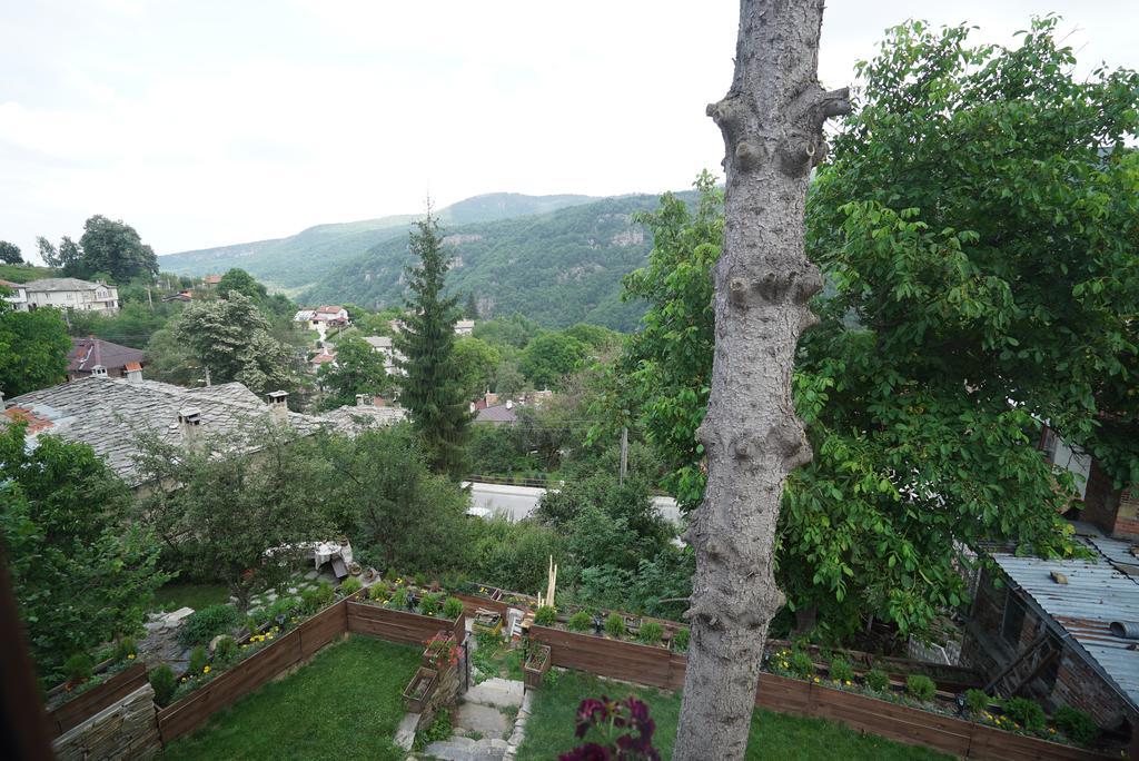 הוילה Dedovo Pisanata House מראה חיצוני תמונה